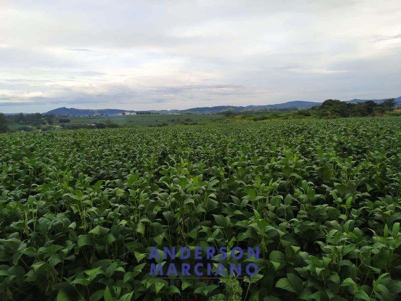 Fazenda TAPIRATIBA