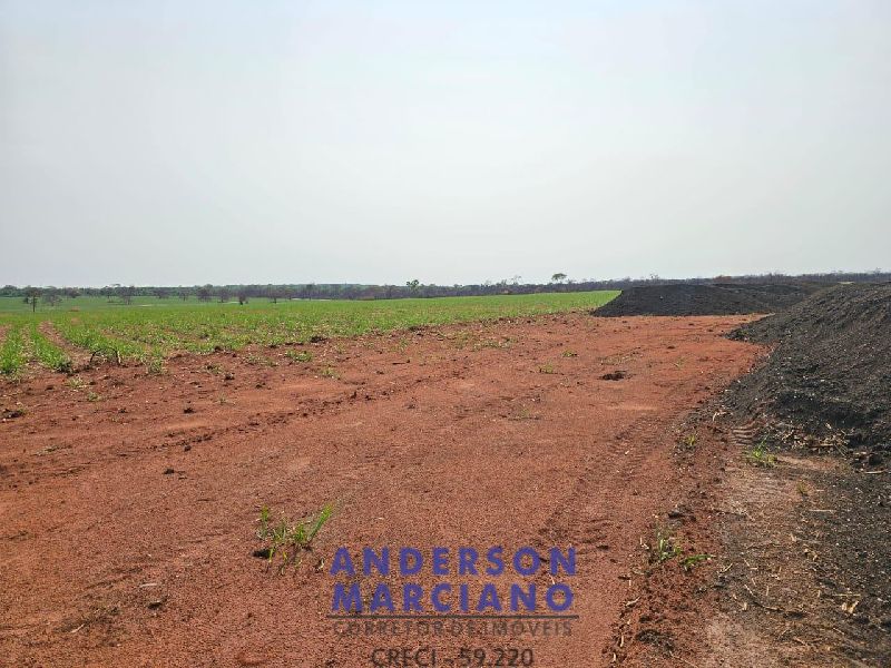 Fazenda em Panorama SP