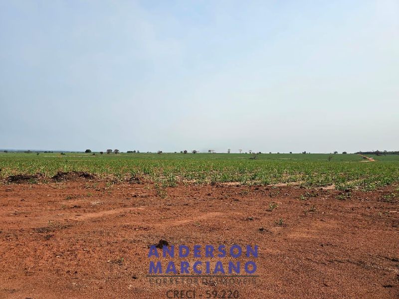 Fazenda em Panorama SP