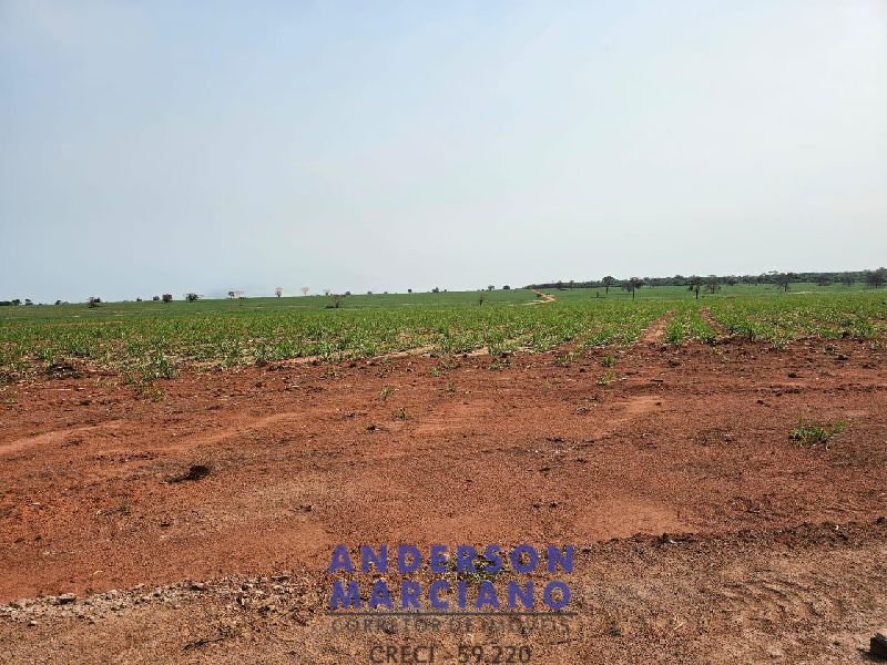 Fazenda em Panorama SP