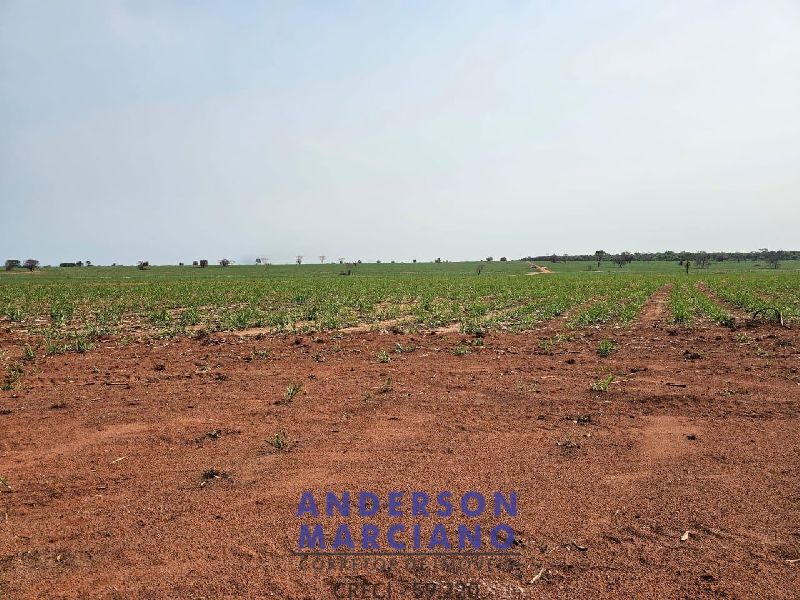 Fazenda em Panorama SP