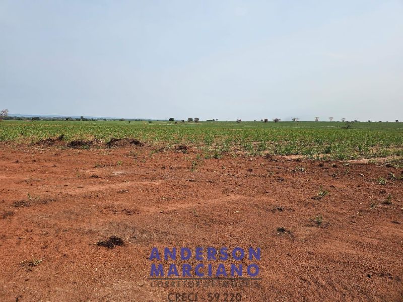 Fazenda em Panorama SP