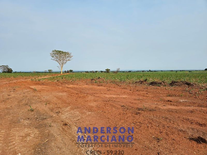 Fazenda em Panorama SP