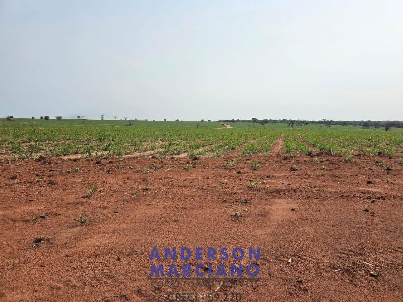 Fazenda em Panorama SP