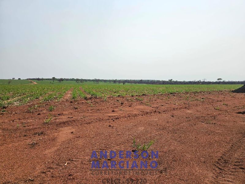 Fazenda em Panorama SP