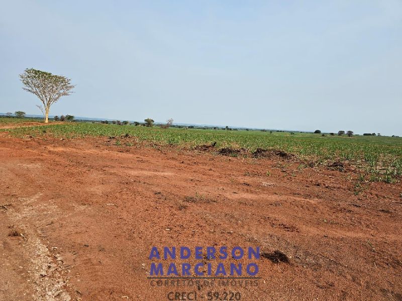 Fazenda em Panorama SP