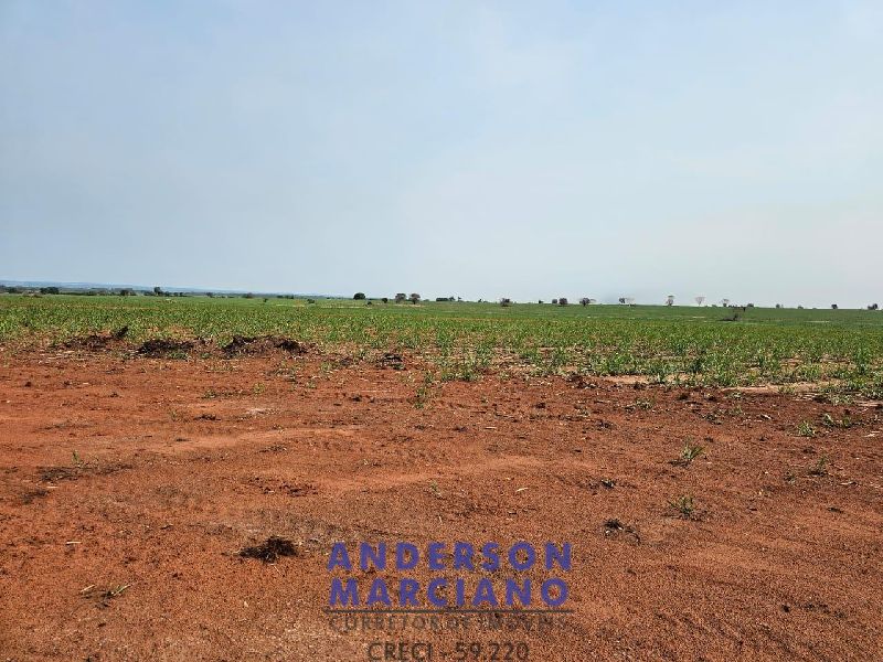 Fazenda em Panorama SP