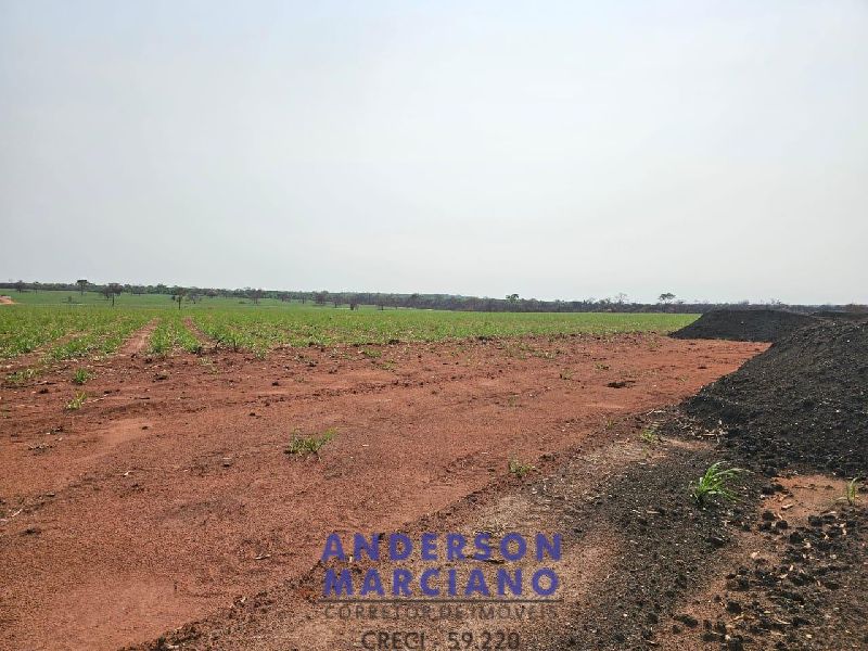 Fazenda em Panorama SP