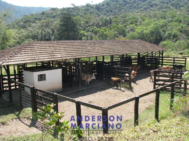 Fazenda à Venda em São Lourenço da Serra - 116 Alqueires