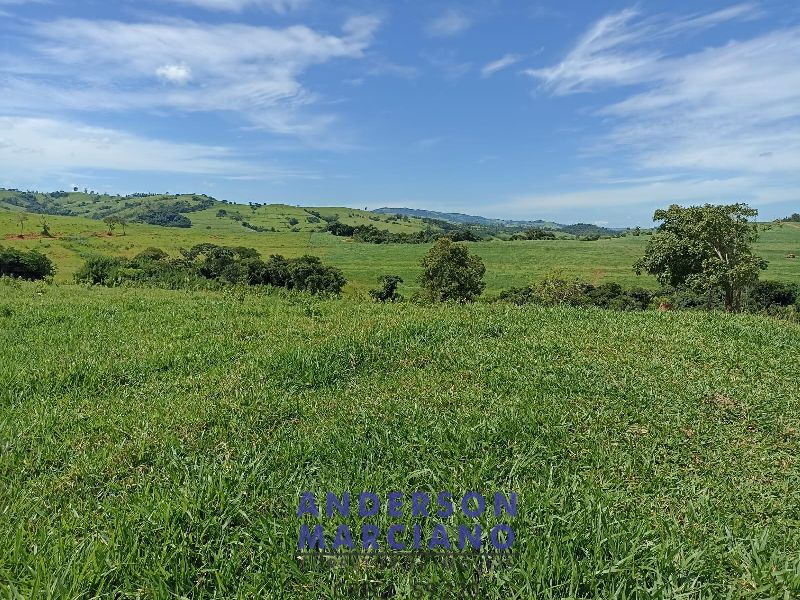 Fazenda à Venda em São Lourenço da Serra - 116 Alqueires