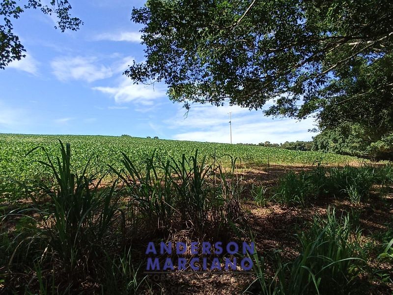 Fazenda à Venda em São Lourenço da Serra - 116 Alqueires