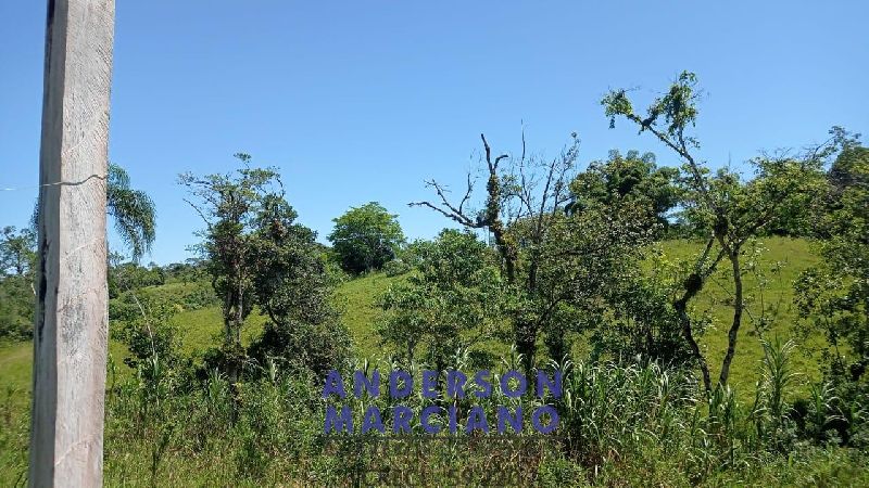 Sítio em Juquiá – 24 Alqueires