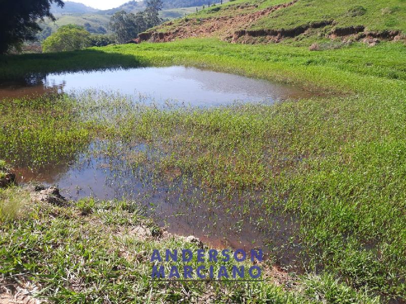 Sítio à Venda em Jacutinga – 25 Alqueires