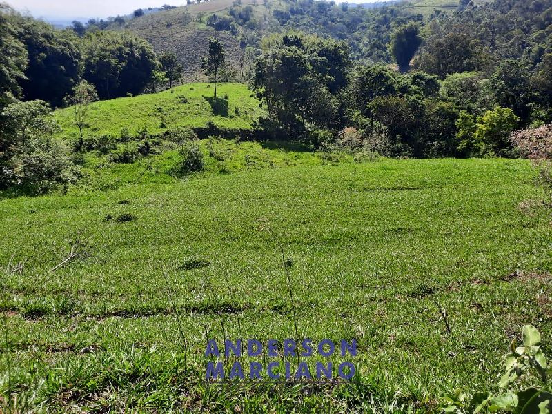 Sítio à Venda em Jacutinga – 25 Alqueires