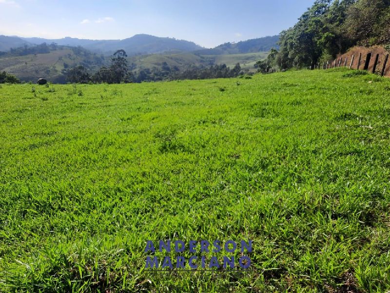Sítio à Venda em Jacutinga – 25 Alqueires