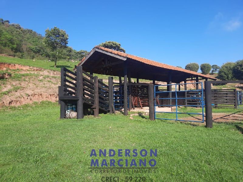Sítio à Venda em Jacutinga – 25 Alqueires