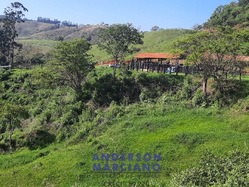 Sítio à Venda em Jacutinga – 25 Alqueires