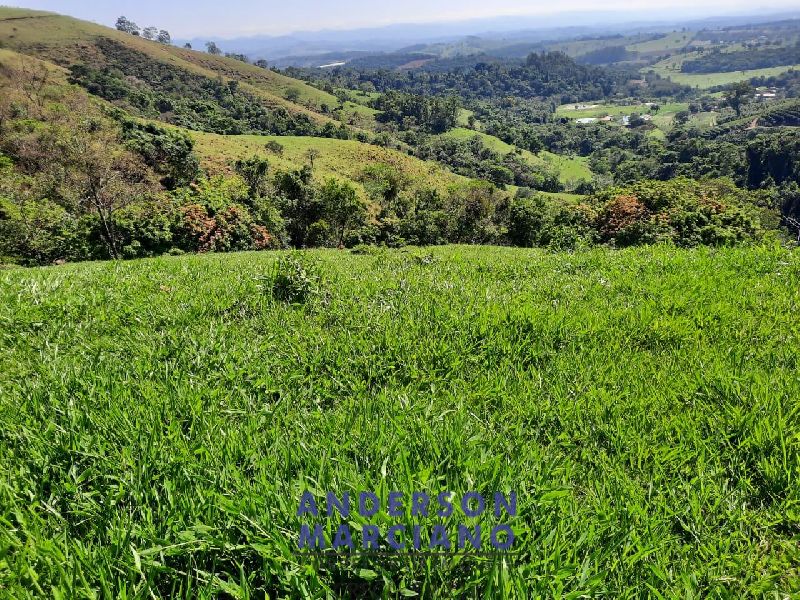 Sítio à Venda em Jacutinga – 25 Alqueires