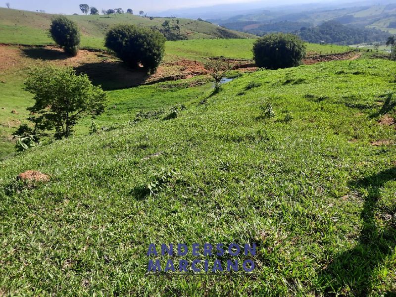 Sítio à Venda em Jacutinga – 25 Alqueires