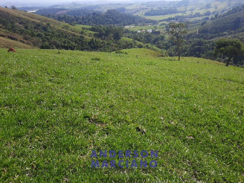 Sítio à Venda em Jacutinga – 25 Alqueires