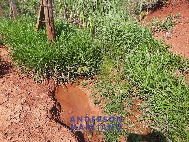 Sítio à Venda em Jacutinga – 25 Alqueires
