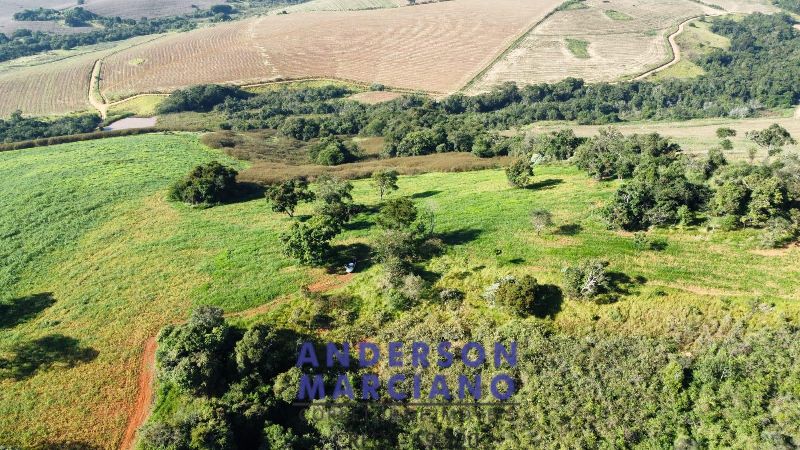 Fazenda à Venda em Pouso Alegre – 66 Alqueires