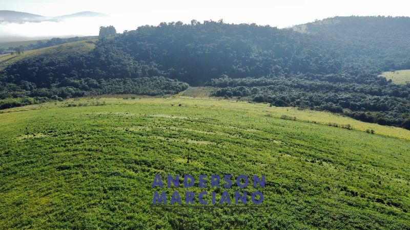 Fazenda à Venda em Pouso Alegre – 66 Alqueires