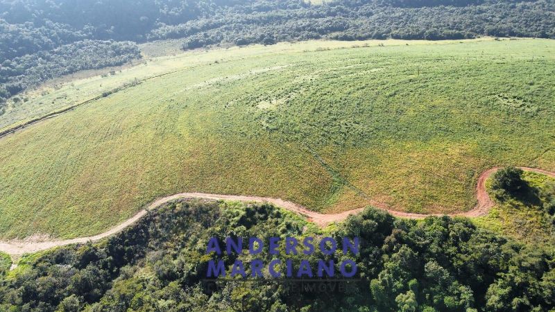 Fazenda à Venda em Pouso Alegre – 66 Alqueires