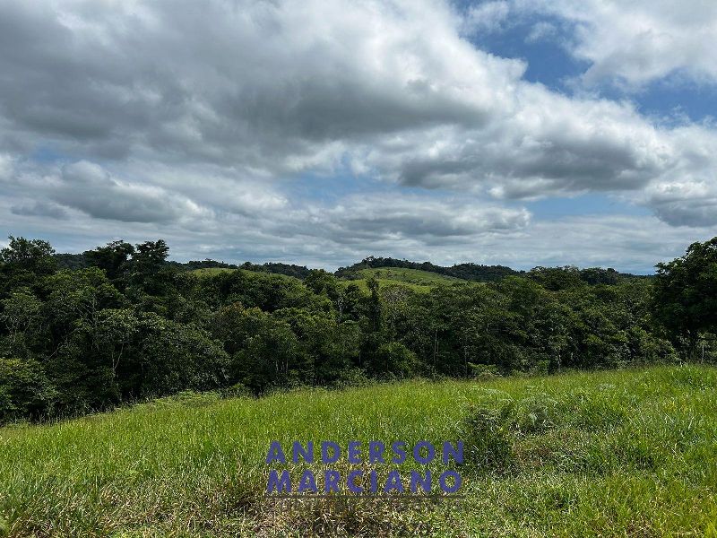 Fazenda à Venda em Miracatu – 61 Alqueires