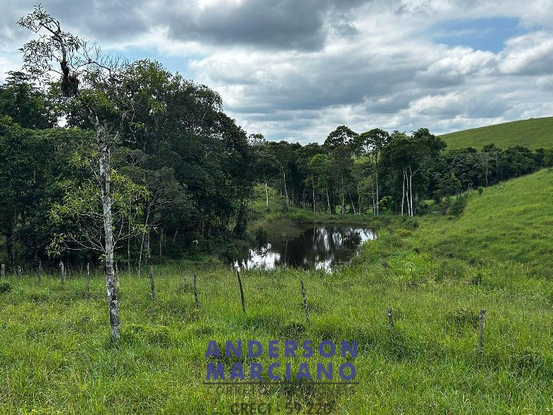 Fazenda à Venda em Miracatu – 61 Alqueires