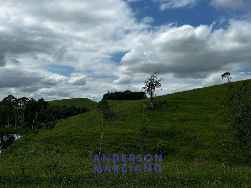 Fazenda à Venda em Miracatu – 61 Alqueires