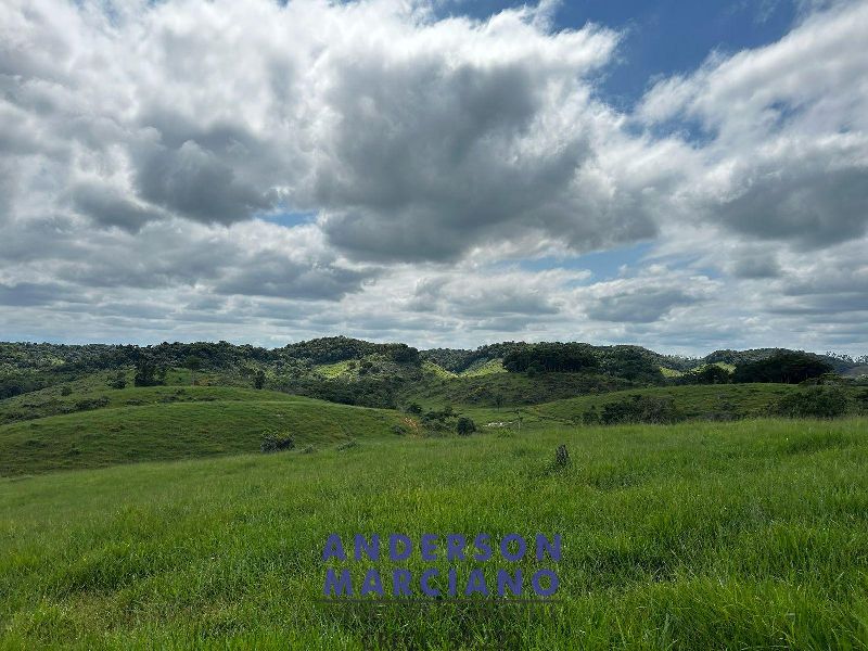 Fazenda à Venda em Miracatu – 61 Alqueires