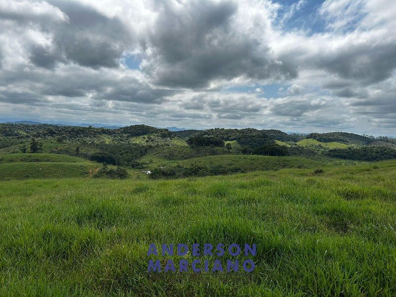 Fazenda à Venda em Miracatu – 61 Alqueires