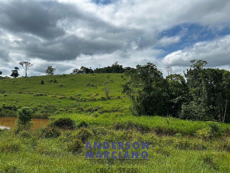 Fazenda à Venda em Miracatu – 61 Alqueires