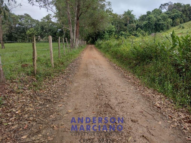 Fazenda à Venda – 12 Alqueires em Jacutinga (MG)