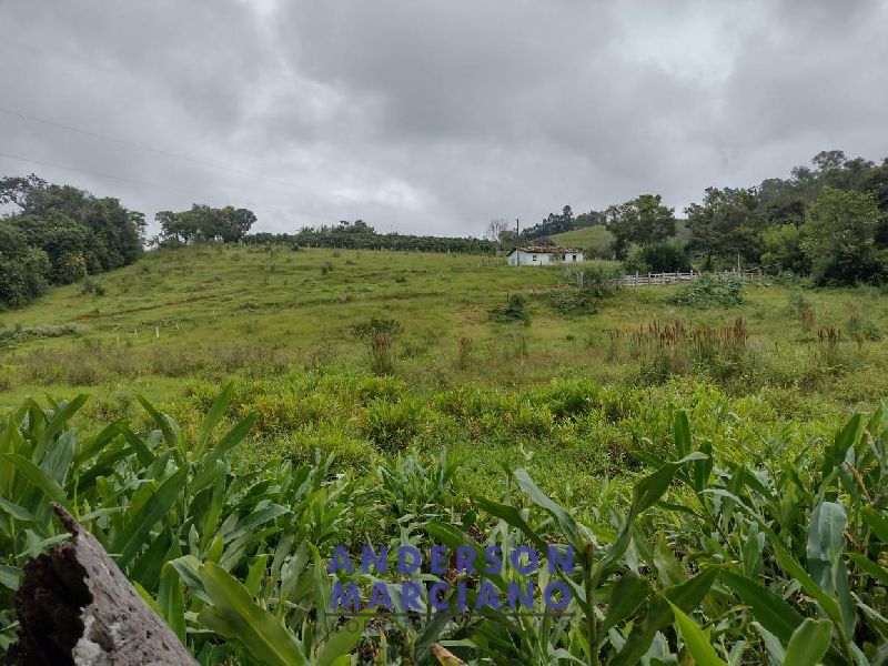 Fazenda à Venda – 12 Alqueires em Jacutinga (MG)