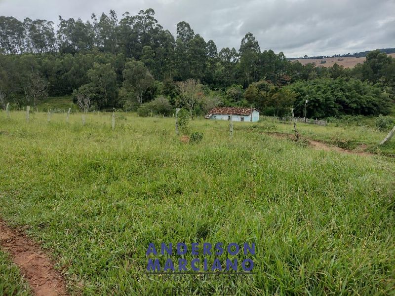 Fazenda à Venda – 12 Alqueires em Jacutinga (MG)