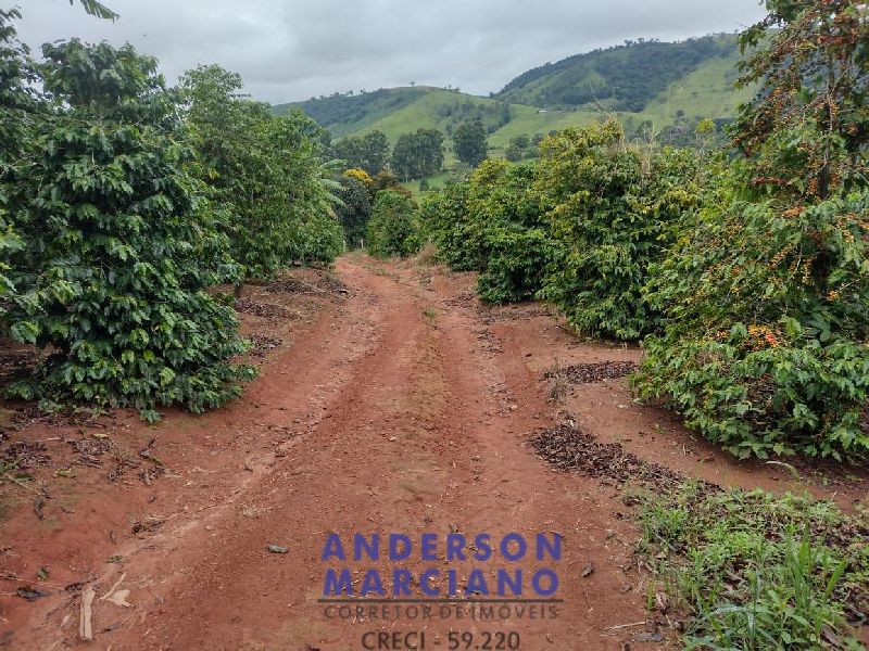 Fazenda à Venda – 12 Alqueires em Jacutinga (MG)