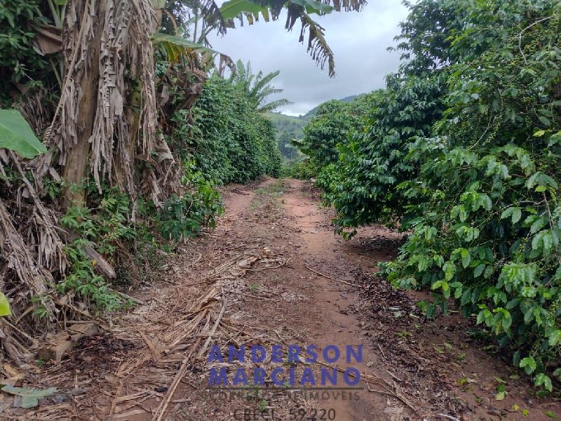 Fazenda à Venda – 12 Alqueires em Jacutinga (MG)