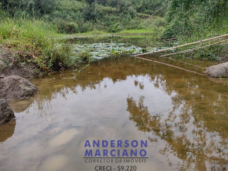 Fazenda à Venda – 12 Alqueires em Jacutinga (MG)