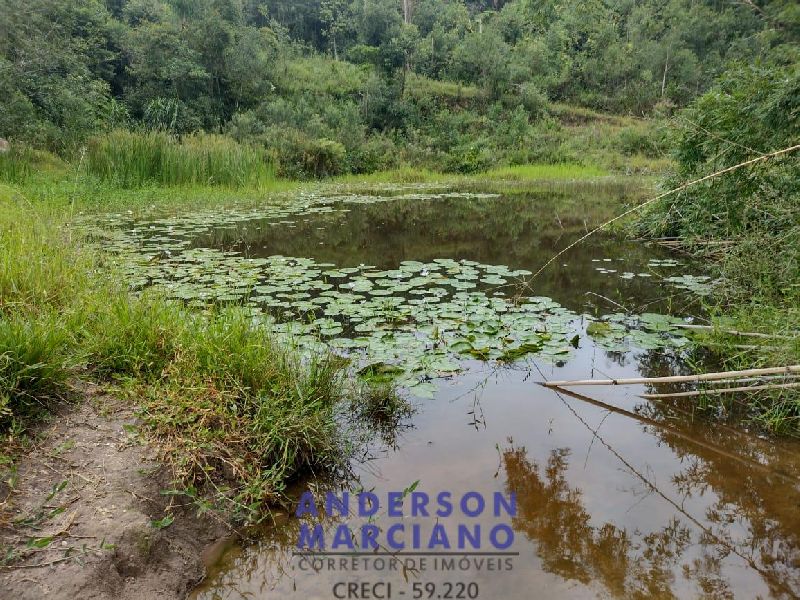 Fazenda à Venda – 12 Alqueires em Jacutinga (MG)
