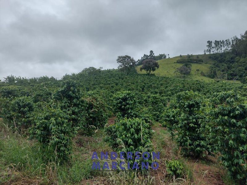 Fazenda à Venda – 12 Alqueires em Jacutinga (MG)