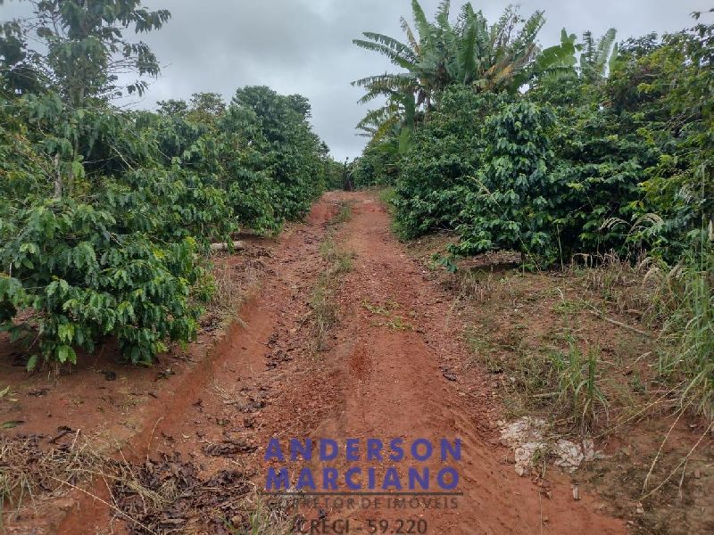Fazenda à Venda – 12 Alqueires em Jacutinga (MG)