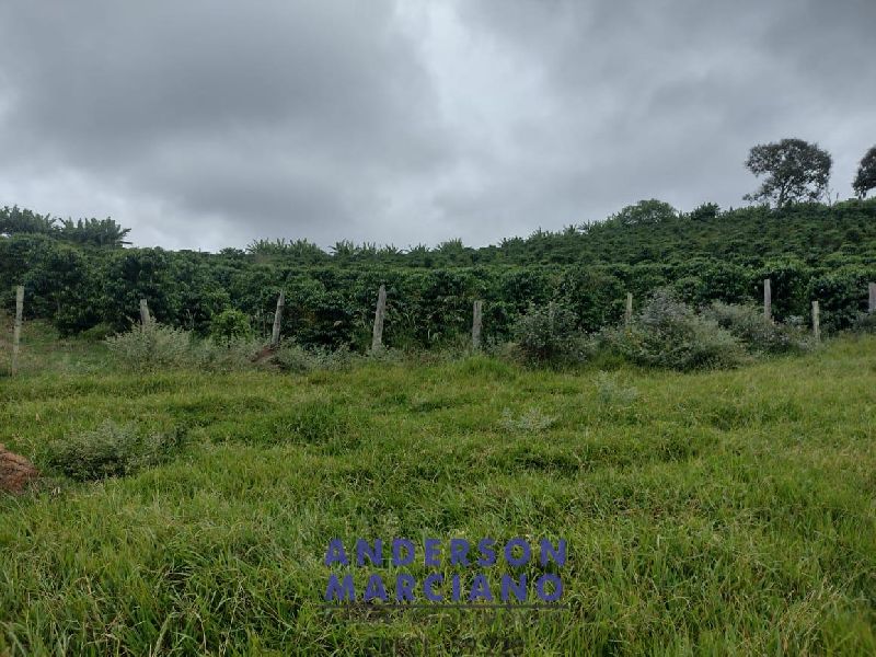 Fazenda à Venda – 12 Alqueires em Jacutinga (MG)