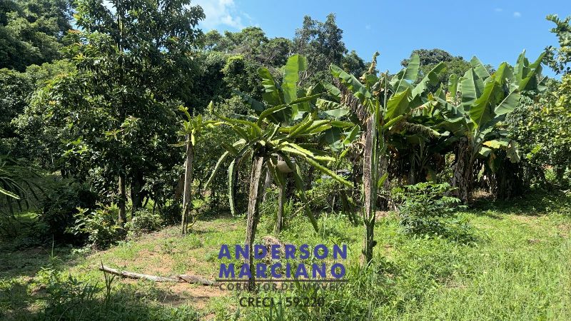 Sítio à Venda – Bairro das Tabaranas – Serra Negra/SP