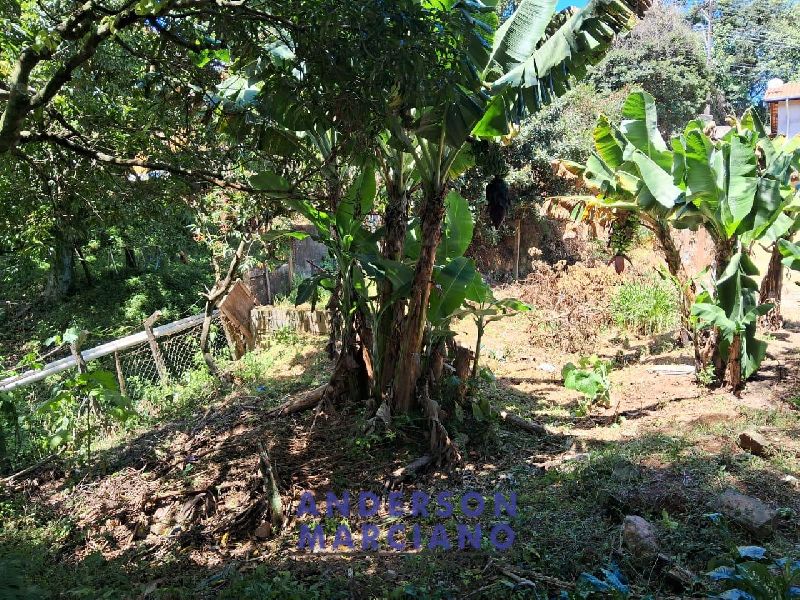 Negócio e Oportunidade – Terreno com 3 casas no Bairro Alto das Palmeiras – Serra Negra/SP
