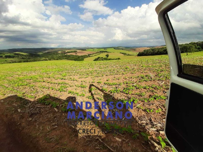 Fazenda à Venda – Região de Santa Rita de Caldas/MG
