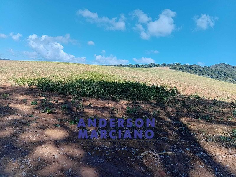Fazenda à Venda – Região de Santa Rita de Caldas/MG