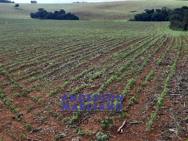 Fazenda à Venda – Região de Santa Rita de Caldas/MG