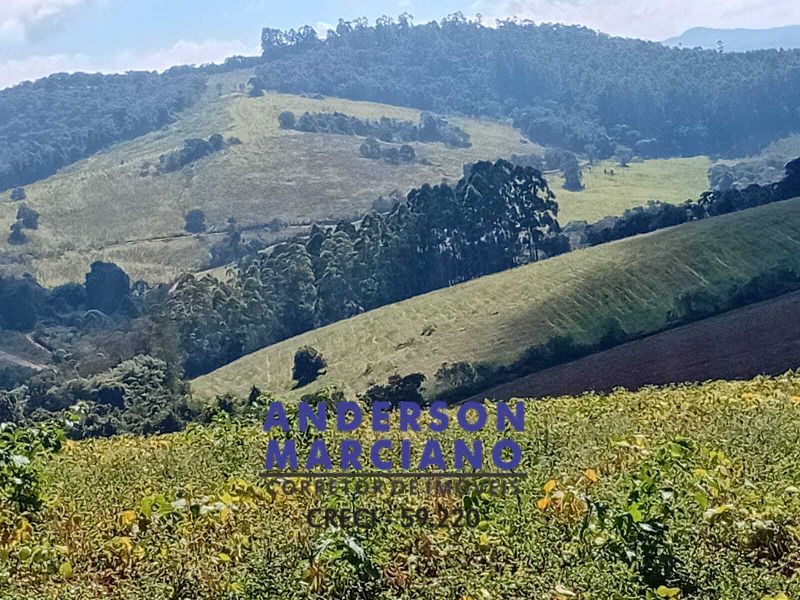 Fazenda à Venda – Região de Santa Rita de Caldas/MG